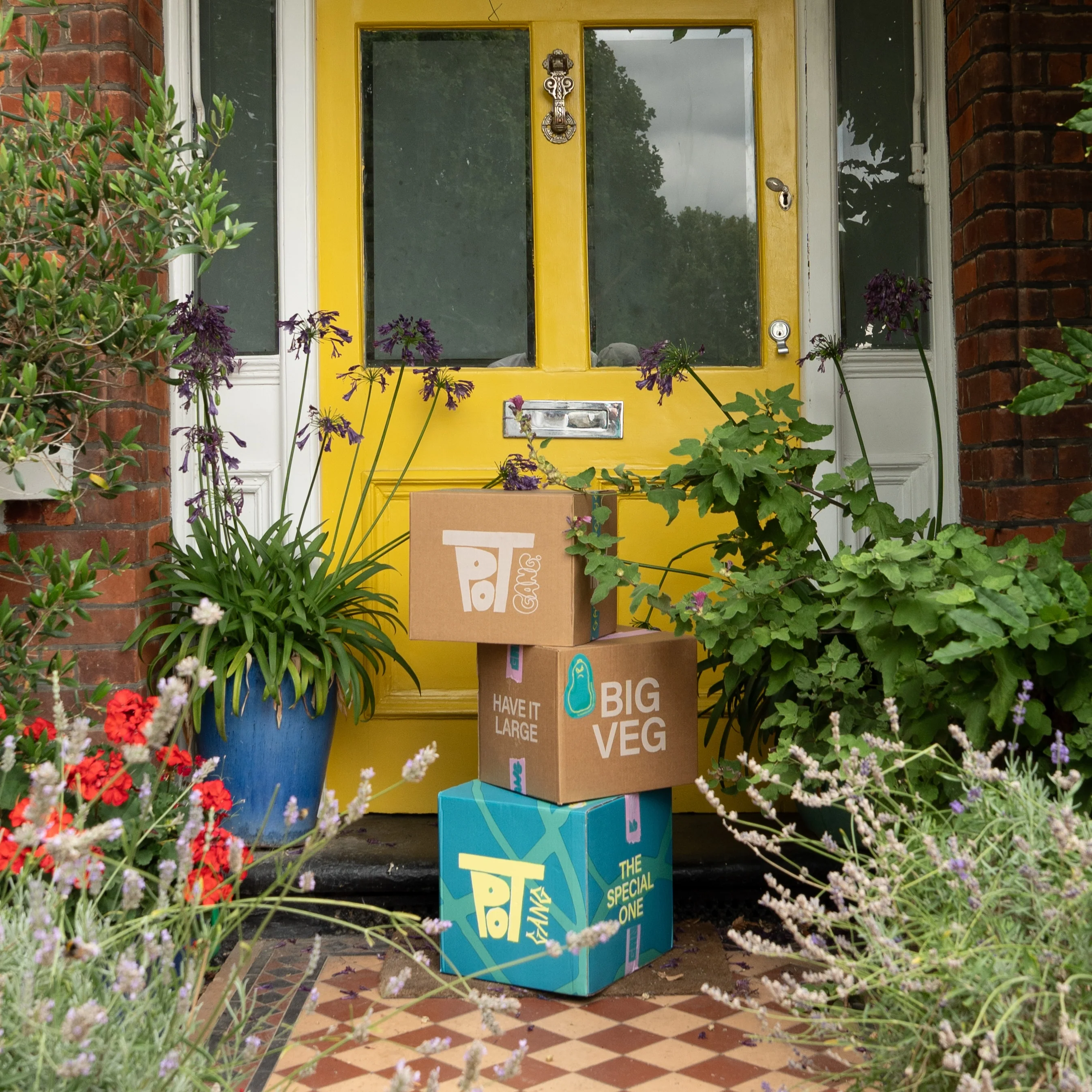 GIFT SUBSCRIPTION - Image 13