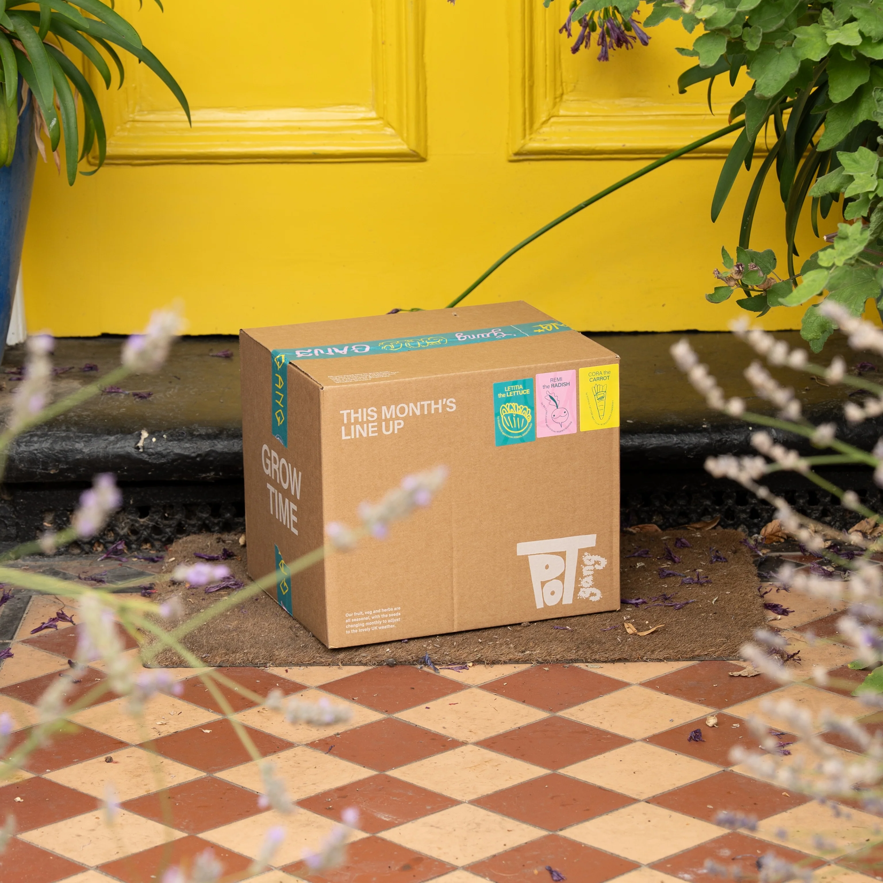 GIFT SUBSCRIPTION - Image 14