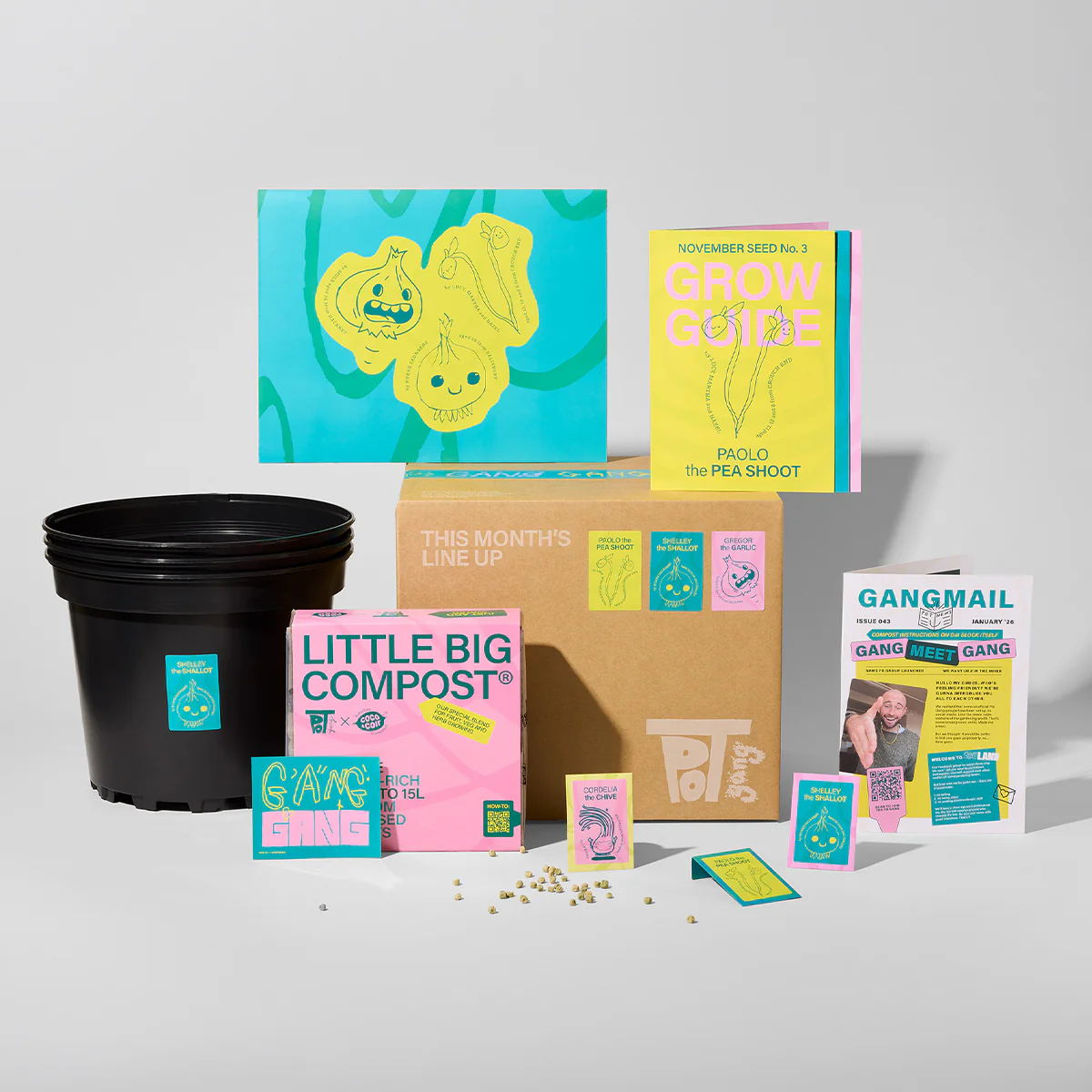 GIFT SUBSCRIPTION - Image 6