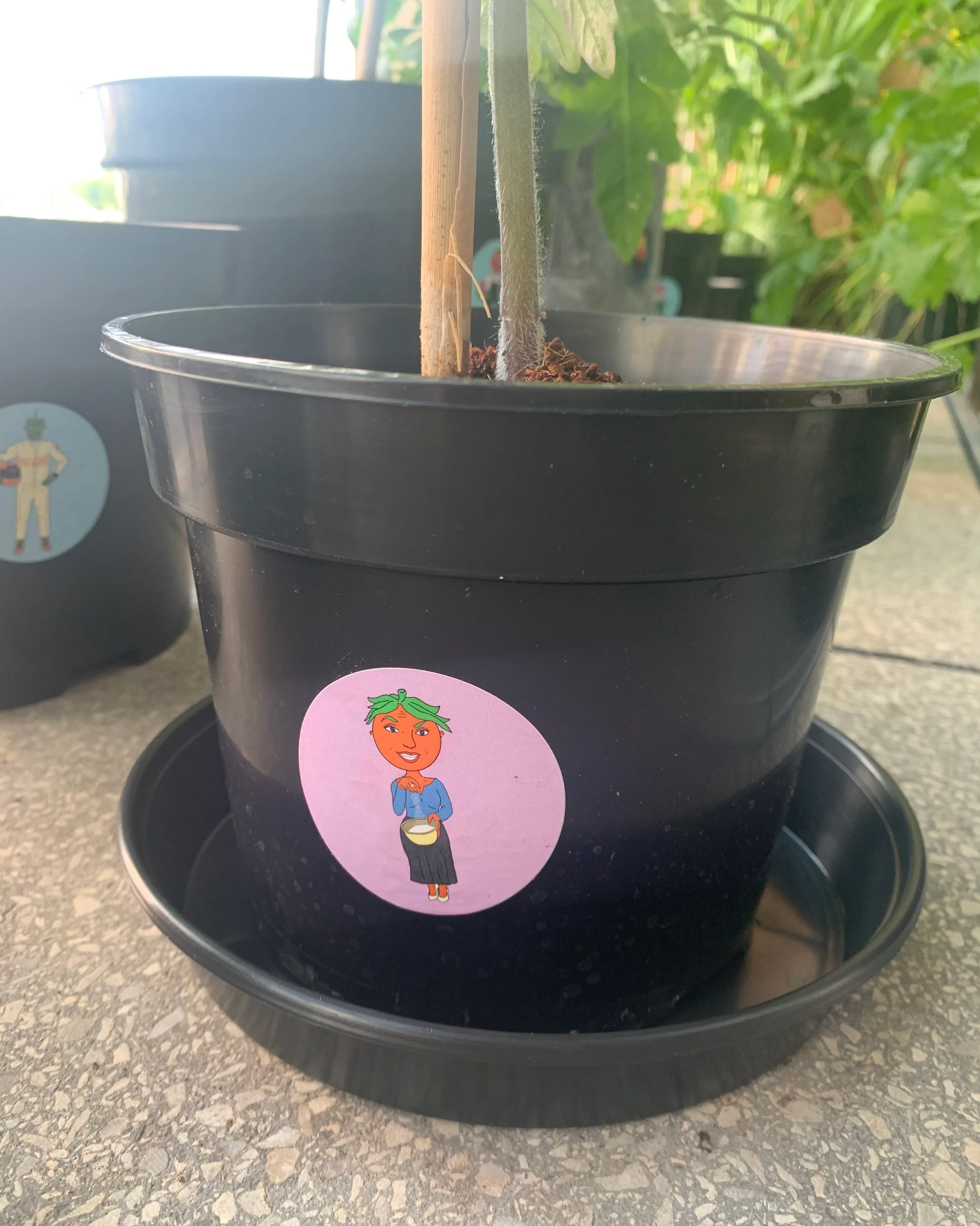 Extra Saucers ~ "3 SIZES" - Image 3