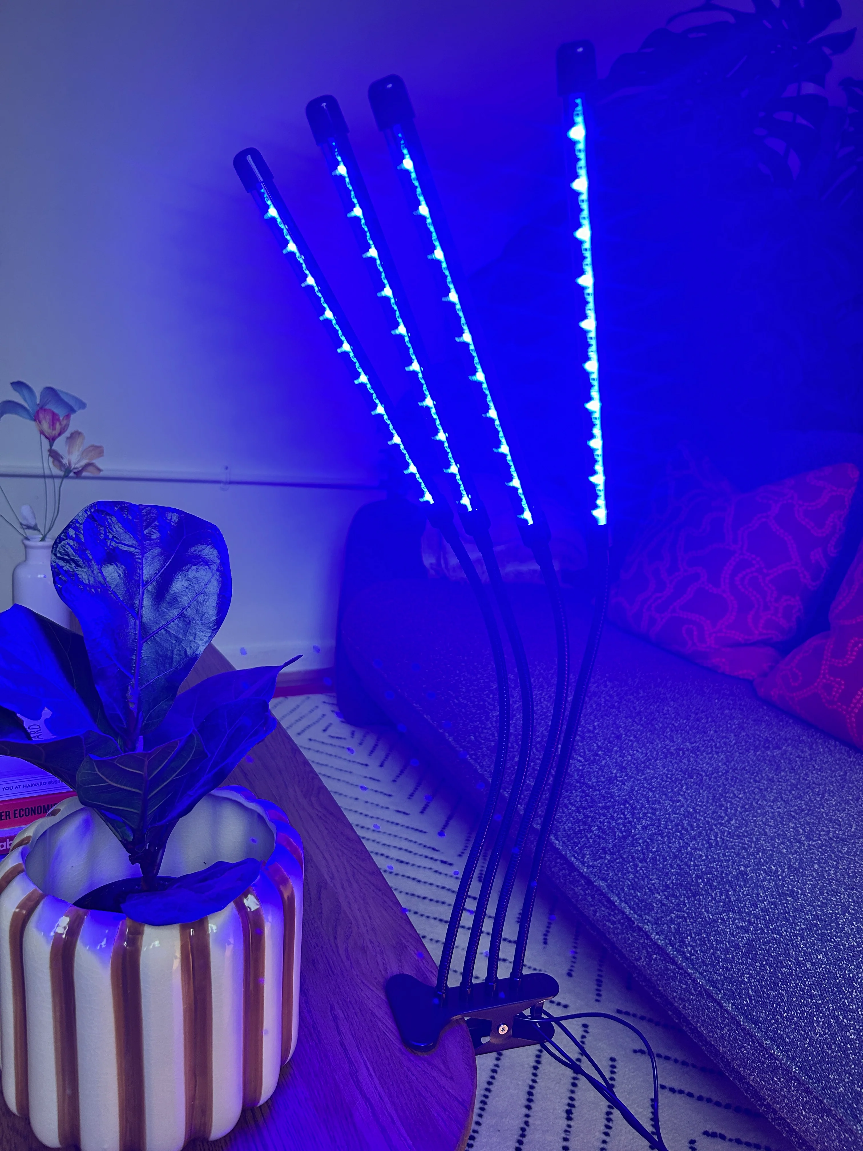 Grow Lights ~ "THE SUNBED" - Image 3