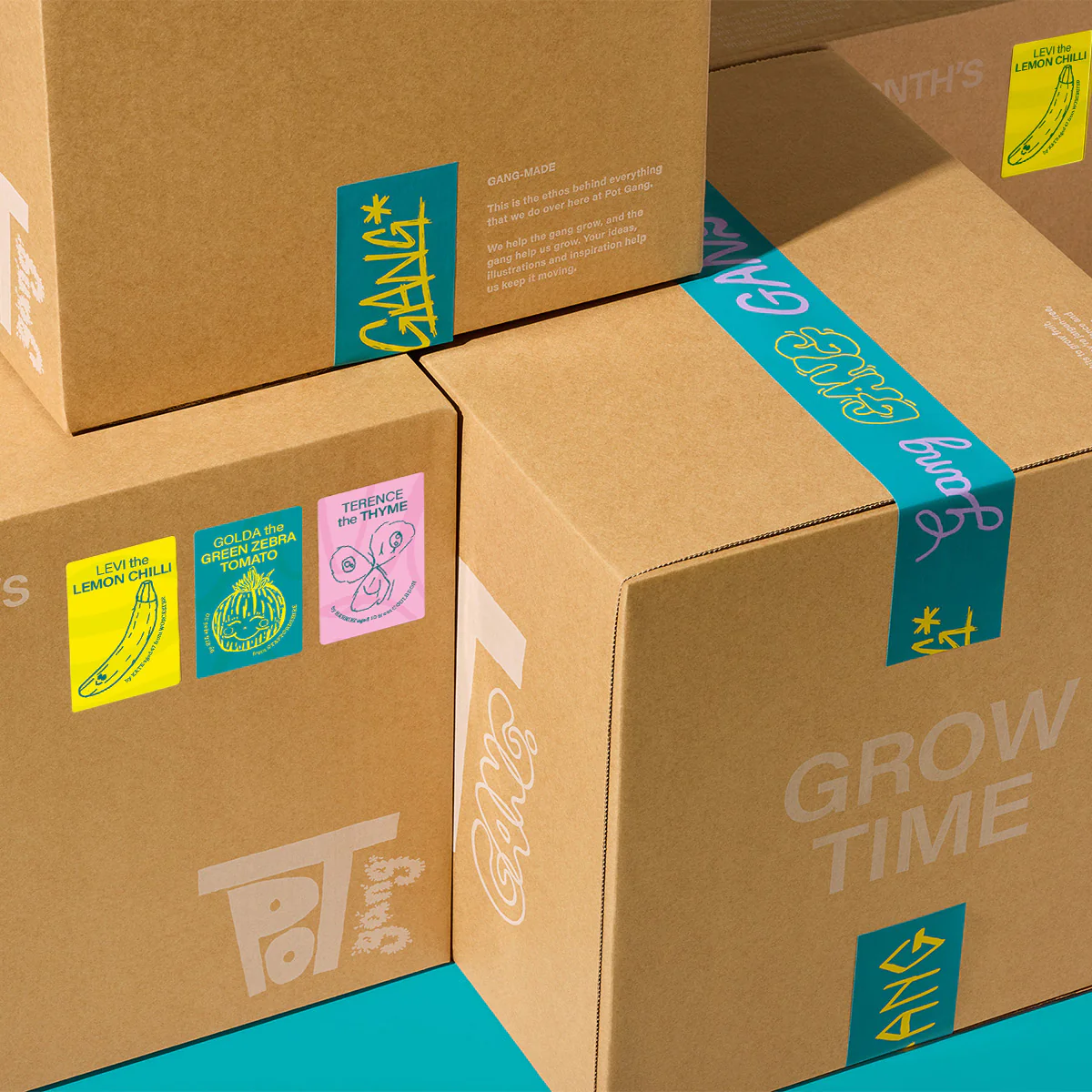April's Box: Green Zebra Tomatoes, Lemon Chillies, Thyme - Image 10