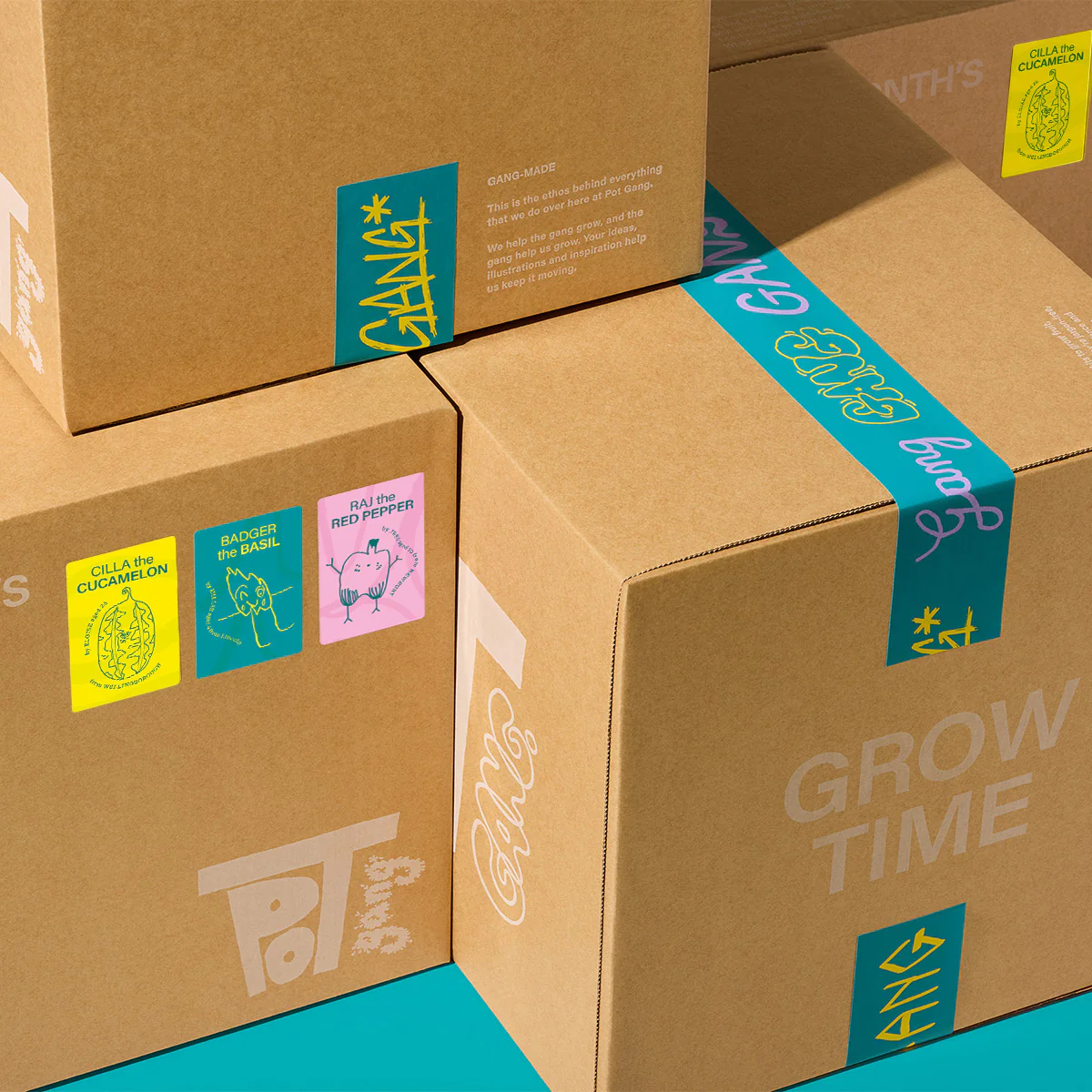 GIFT SUBSCRIPTION - Image 10