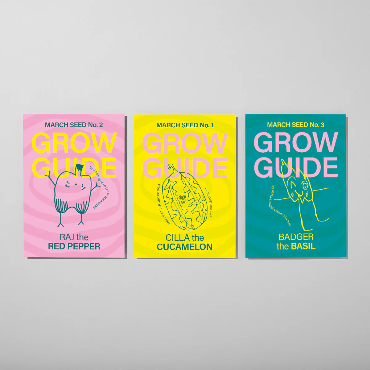 GIFT SUBSCRIPTION - Image 7