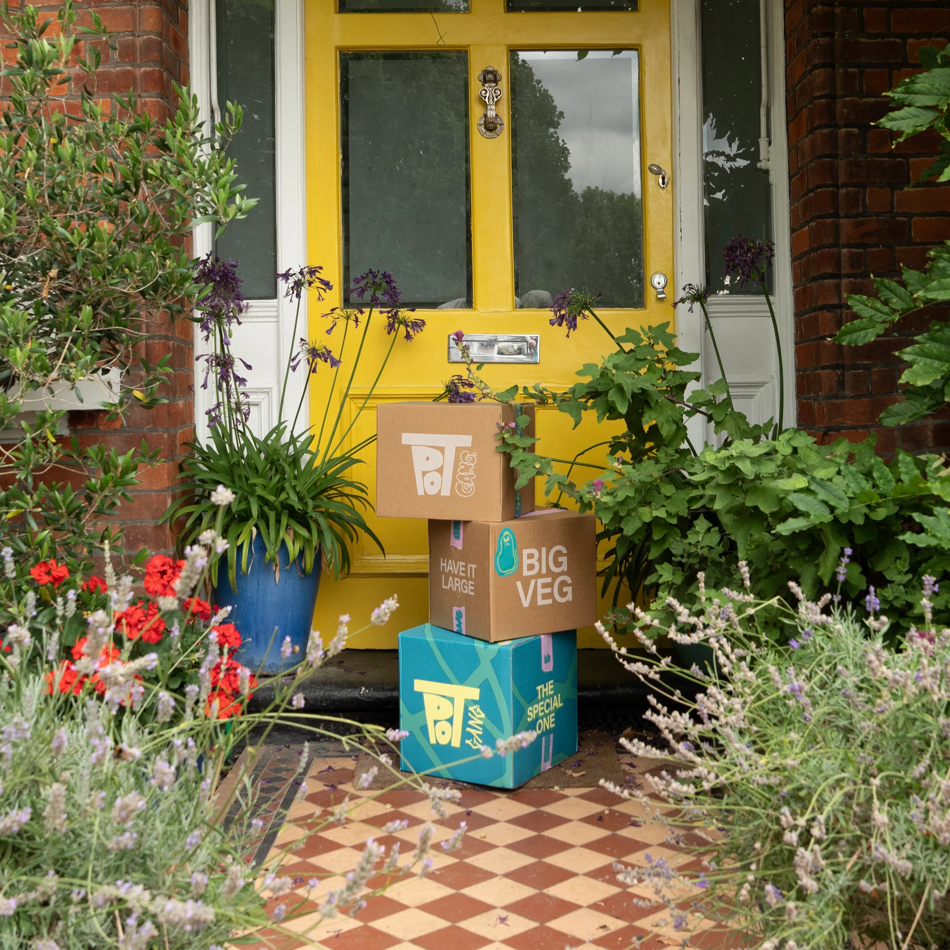 Special Edition: The Halloween Box - Image 8